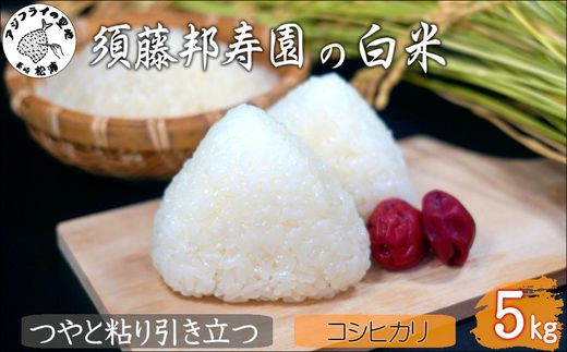 【令和7年産】須藤邦寿園の白米 コシヒカリ5kg( 米 コメ お米 コシヒカリ こしひかり 5kg 5キロ 甘い 甘み 粘り 精米 国産 送料無料 )【B6-051】