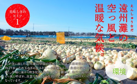 浜松篠原産【葉付新白玉ねぎ】プレミアムホワイト20玉【A級品L玉】 野菜 たまねぎ タマネギ 