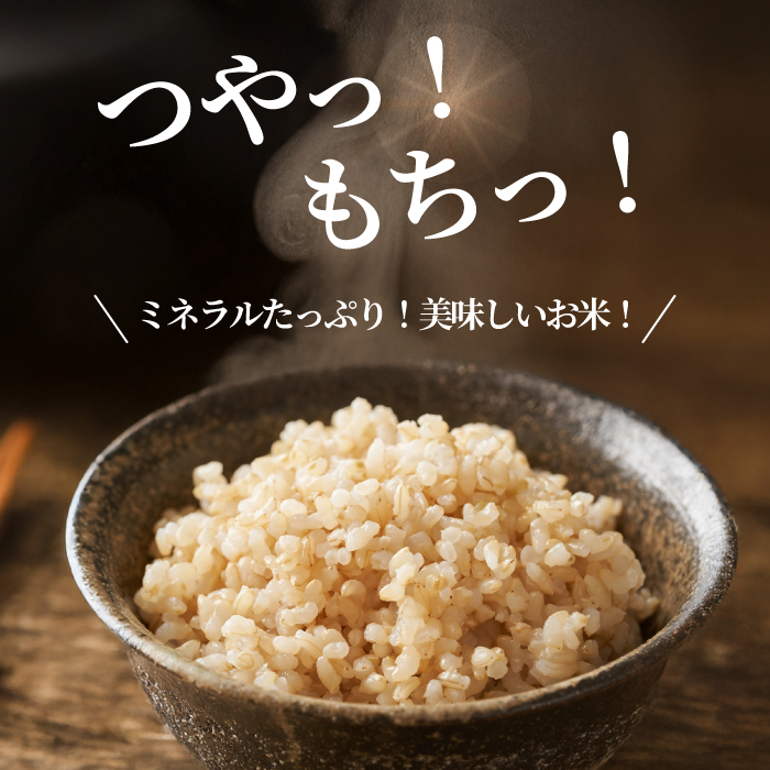 【令和7年新米】コシヒカリ 玄米 5kg こしひかり ごはん お米 米 181004