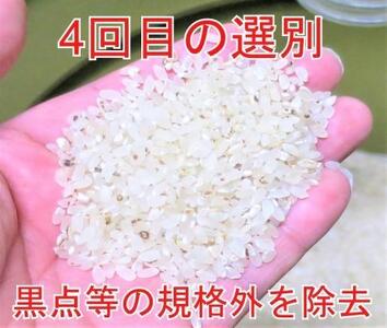 25kg（5kg×5）大手有名百貨店出荷米 あきたこまち 令和5年産米