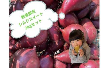【 予約受付 2025年産 】 厳選 さつまいも シルクスイート 3kg 国産 サツマイモ さつま芋 秋 野菜 岩手県 北上市 齋藤 智仁 B0400 さいとう農園 産地直送 ※令和7年9月下旬より発送開始予定