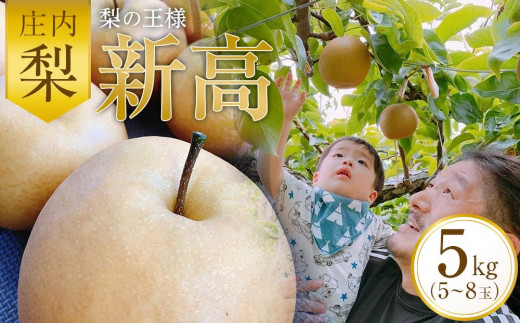 
                  ＜梨の王様＞庄内梨 新高 5kg（5～8玉）【2024年10月上旬頃より発送】 | 果物 期間限定 なし 梨 フルーツ グルメ 人気 おすすめ 送料無料 お取り寄せ 取り寄せ 九州 大分県 由布市 湯布院 由布院 ゆふいん DS04
                