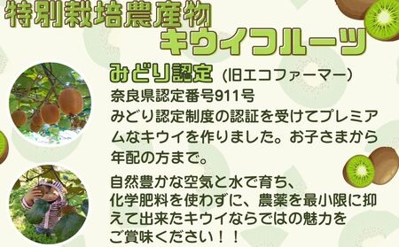 ＜12月頃発送＞奈良県 室生産 こだわり プレミアムキウイフルーツ2Lサイズ11個×2箱入追熟処理済／ やまとファームJAPAN  果物 旬の食材 お取り寄せ お土産 贈答品 化学肥料不使用 特別栽培