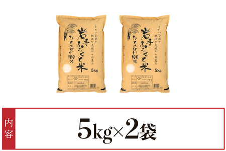 3人に1人がリピーター! 岩手ふるさと米 計10kg(5㎏×2) 令和6年産 一等米 ひとめぼれ 東北有数のお米の産地 岩手県奥州市産 白米 精米 【配送時期に関する変更不可】 [U0160]