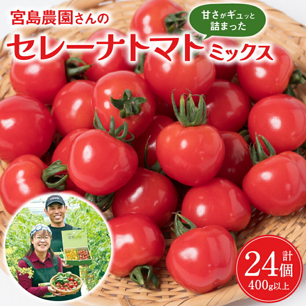【ふるさと納税】【先行予約】 セレーナトマト サイズミックス 24個 400g以上 八代市産 宮島農園 野菜 とまと サラダ 送料無料 【2025年12月下旬より順次発送】