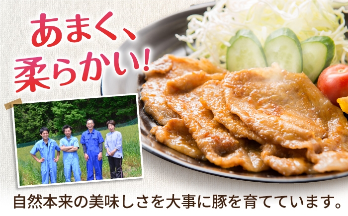 豚肉 小分け 薄切り スライス モモ 冷凍 モモ肉 もも肉 豚モモ肉 豚もも肉 ぶた肉 モモ肉薄切り 豚モモ肉薄切り