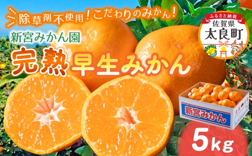 L-54 新宮みかん園 完熟早生みかん（S～L）５kg