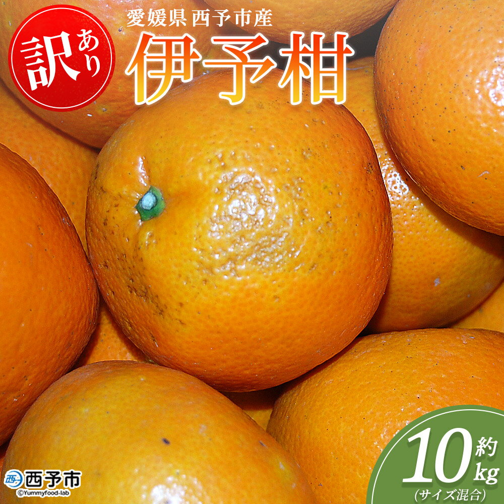 【ふるさと納税】＜訳あり 伊予柑 (サイズ混合) 約10kg＞蜜柑 ミカン みかん 果物 フルーツ 柑橘 いよかん 宮内伊予柑 西宇和 果汁 ジューシー 果肉 国産 愛媛県産 西予市産 ご家庭用 自宅用 訳アリ 特産品 丸二青果 愛媛県 西予市【常温】『2026年1月～3月に順次出荷予定』