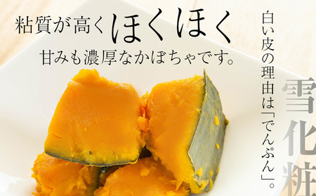 【秋山農園】かぼちゃ　雪化粧4個入り 南瓜 ほくほく 野菜 旬 秋野菜 北海道ふるさと納税