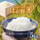 【ふるさと納税】 はが野米 | コシヒカリ お米 米 こめ おにぎり おむすび ごはん ご飯 真岡産コシヒカリ 白米 5kg 真岡市 栃木県 送料無料