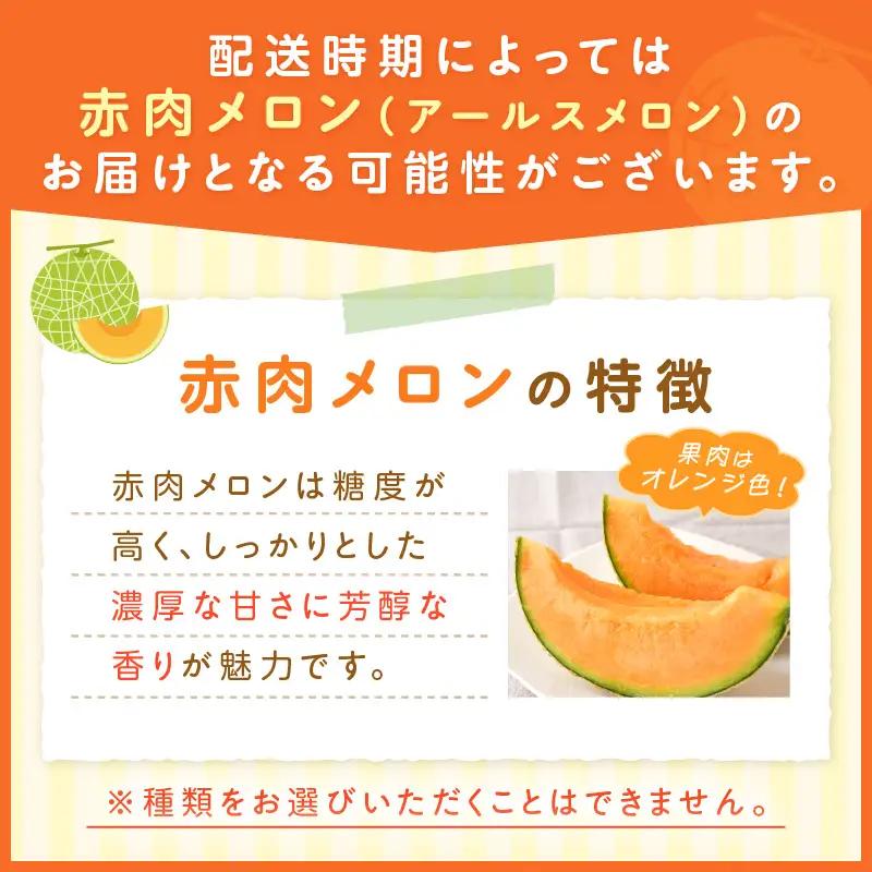 アールスメロン(マスクメロン) 2玉 3kg程度 糖度13度程度≪家庭用≫【配送不可地域：北海道・青森・秋田・岩手・沖縄・離島】【1354】