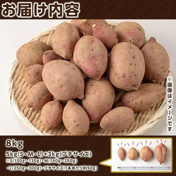安納芋 さつまいも 計8kg (S・M・L +プチサイズ) 【種子島安納大地】n225