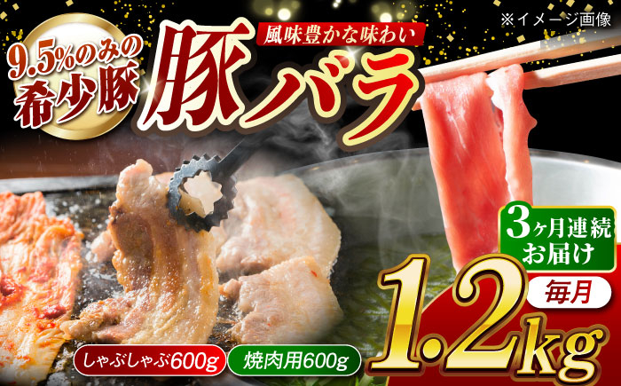 
            【月1回約1.2kg×3回定期便】大西海SPF豚 バラ（焼肉＆しゃぶしゃぶ用）計約3.6kg 長崎県/長崎県農協直販 [42ZZAA101]
          