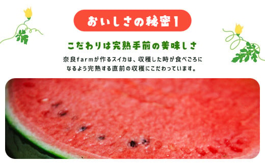 【先行予約】【6月上旬から発送】レッドサンスイカ（約8kg～約9.8kg×1玉） SMAF001