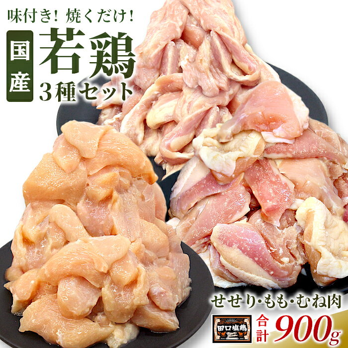 【ふるさと納税】奥三河どり使用！ 田口塩鶏 国産 若鶏味付け肉 3種セット 900g（もも肉250g×1・むね肉250g×1・せせり200g×2）もも肉 むね肉 塩ダレ 味付け肉 鶏肉 鶏 肉 キャンプ 味付け肉 大容量 地鶏 焼肉 焼き鳥 10000円 10000 -169