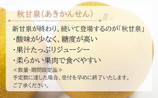 鳥取県産 秋甘泉梨　5kg