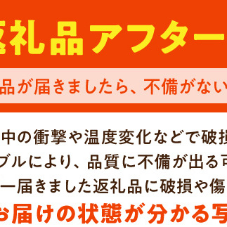 DZ6231_【2026年先行予約】特選 有田みかん 和歌山 S～Lサイズ 大きさお任せ 約10kg_イメージ5