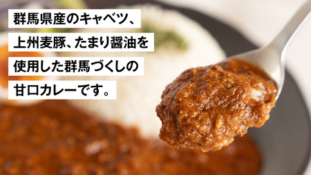 キャベツカレー セット( ぐんまキャベツカレー 2個＋ 嬬恋米 300g) レトルトカレー 2食分 2人前 キャンプ お試し 少量 小分け こめ ブランド米 米 白米 精米 受賞 皇室献上米 コメ 2