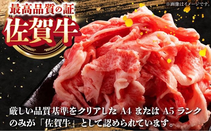 【全12回定期便】季節の佐賀牛定期便（2人前）【肉の三栄】 [HAA072]