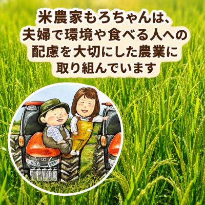 ふるさと納税 茨城町 特別栽培米 こしひかり 10kg(5kg×2袋)精米 茨城県産 |  | 01