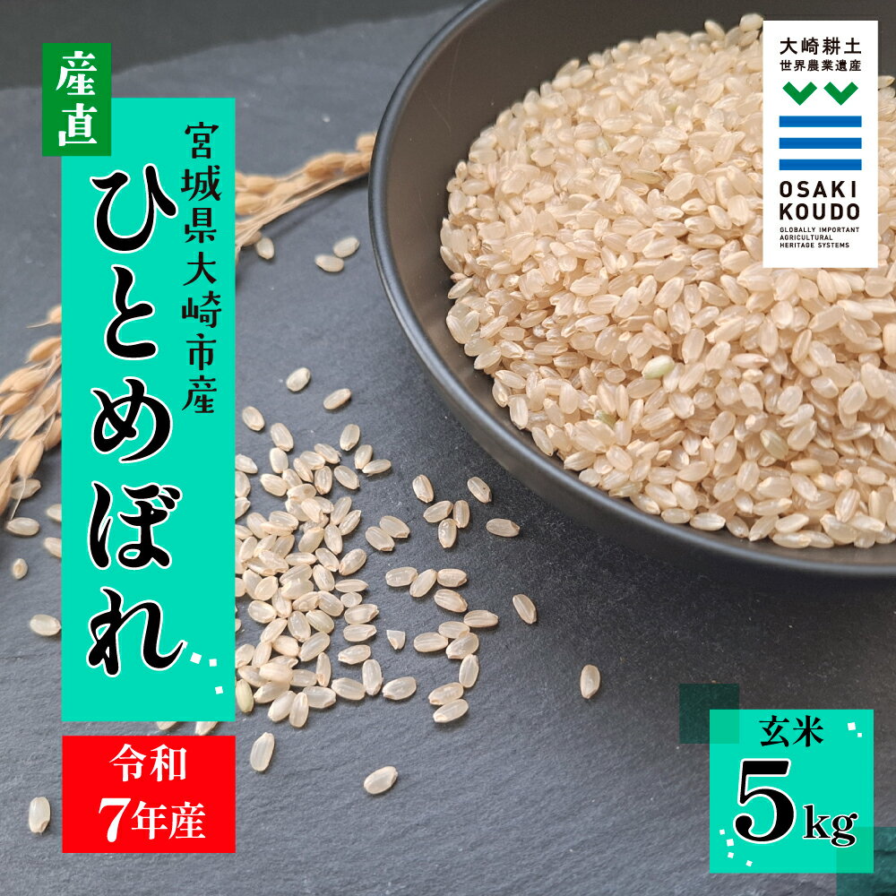 【ふるさと納税】【令和7年産】宮城県大崎市古川産 ひとめぼれ〈玄米〉5kg｜自然のやさしさが詰まったふっくら米 お米 大崎市産 大崎市