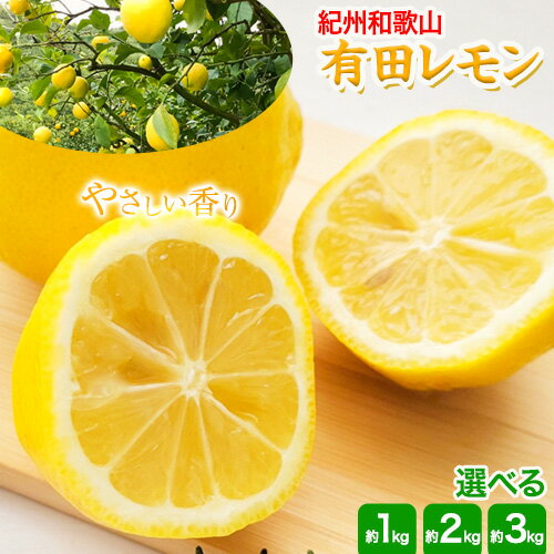 【ふるさと納税】紀州和歌山 有田レモン 選べる 約1kg 約2kg 約3kg 有田マルシェ《2026年9下月旬-2027年2月下旬頃発送予定》 和歌山県 日高町 れもん 檸檬 フルーツ ギフト 送料無料