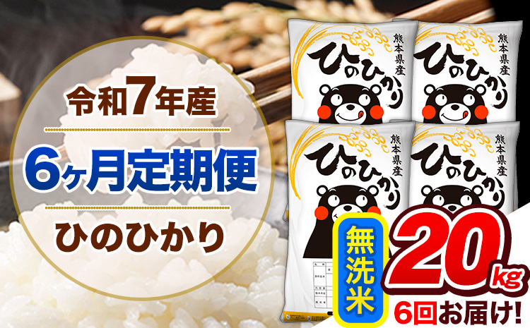 【6ヶ月定期便】令和7年産 定期便 無洗米 ひのひかり 20kg 《お申込み翌月から出荷開始》熊本県産 ふるさと納税 精米 ひの 米 こめ ふるさとのうぜい ヒノヒカリ コメ 熊本米