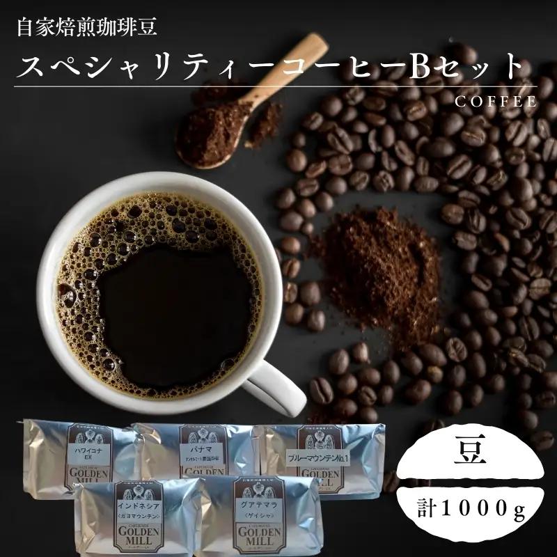 コーヒー スペシャリティーコーヒー Bセット 計1000g【豆でお届け】【gdml0021】