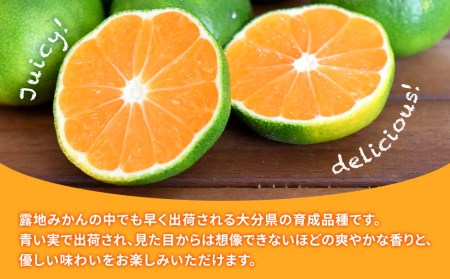 大村農園の極早生みかん おおいた早生 5kg おおいた早生 みかん ミカン オレンジ 柑橘類 大分県産 九州産 津久見市 国産
