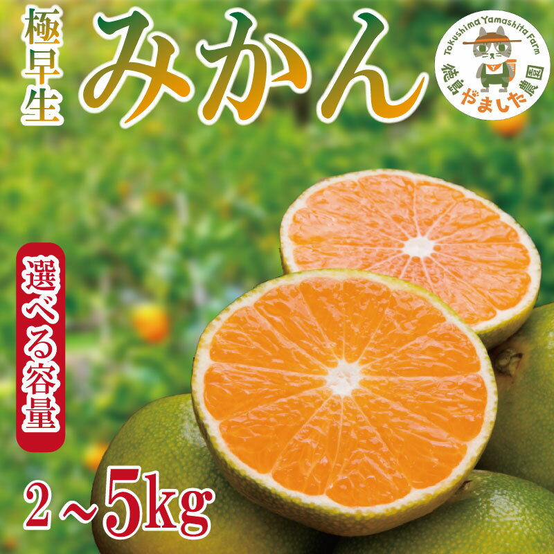 【ふるさと納税】 【2025年9月順次発送】 極早生みかん2~5kg みかん 温州みかん 極早生 早生 完熟 柑橘 果物 フルーツ 国産 新鮮 【北海道、東北、離島、沖縄配送不可】