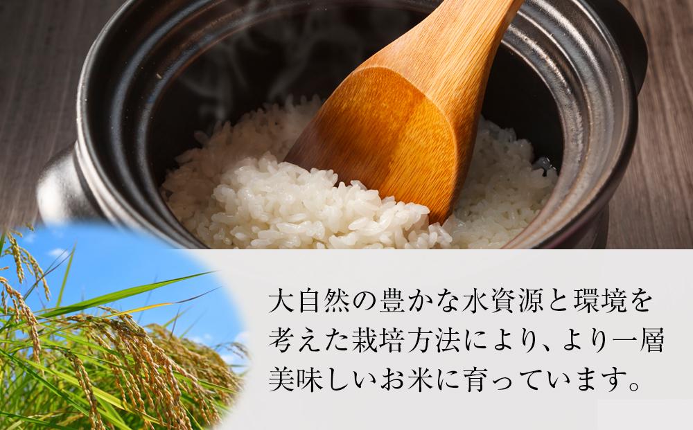 【3ヶ月定期便】【令和7年産】魚沼産コシヒカリ 特別栽培米「雪美人」10kg(5kg×2袋)