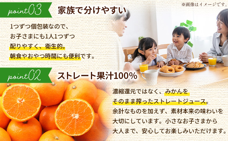 ＜100％ストレートジュース パウチタイプ 160ml×20個（2種類×10）＞『1か月以内に順次発送予定』種類はおまかせ 飲み比べ セット 果物 くだもの フルーツ 柑橘類 みかん 蜜柑 ミカン み
