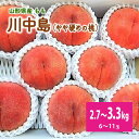 【ふるさと納税】 桃（ 川中島 ）6~11玉【 3kg 箱に2.7~3.3kg詰め】秀品 化粧箱入 果物 フルーツ デザート お取り寄せ 贈答 贈り物 プレゼント 国産 山形県 上山市 0056-2503