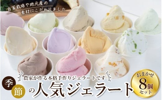
                  【素材からこだわった】ジェラート8個セット  配送月が選べる  「 6個入り 12個入りもございます！」/ ジェラート アイス アイスクリーム キミノーカ スイーツ 大人気 牛乳 ギフト 夏 デザート 子供 バラエティセット おやつ ご褒美 定番 季節の 野菜 と 果物 使用 送料無料 和歌山【kmk001-oya】
                