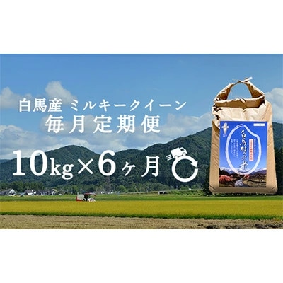 【発送月固定定期便】【令和6年産先行予約】白馬産ミルキークイーン精米10kg全6回【4055708】