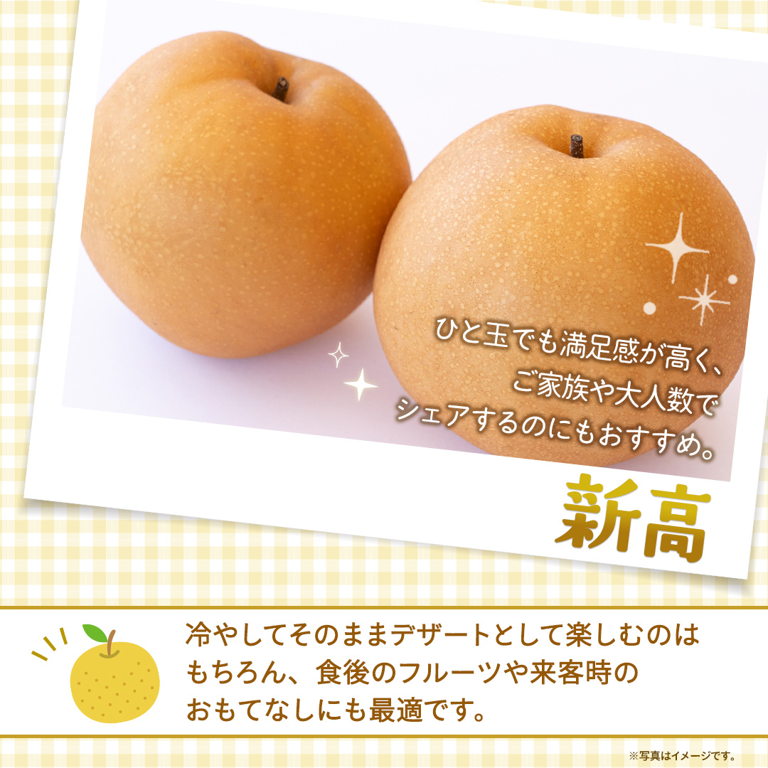 新高 約3kg 【2026年10月より発送開始】（茨城県共通返礼品 [梨]：大子町産） 高糖度 ギフト 贈り物 プレゼント フルーツ なし ナシ 和梨  梨 果実 旬のフルーツ お取り寄せ くだもの 