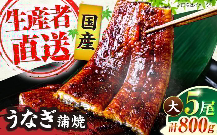 
                  国産 うなぎ 蒲焼 大5尾 合計 800g（1尾あたり 160g以上）《豊前市》【福岡養鰻】 国産 うなぎ 鰻 ウナギ 蒲焼 うなぎ 蒲焼き うなぎ 冷凍 鰻 うなぎ ウナギ 鰻 人気 ウナギ うなぎ おすすめ ランキング うなぎ おいしい unagi うなぎ かばやき うなぎ 高級 贅沢 うなぎ ウナギ 鰻 ひつまぶし うなぎ ウナギ 鰻 九州 [VAD004]
                