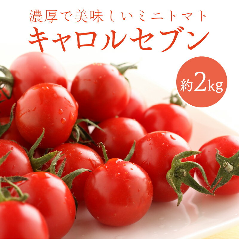 【ふるさと納税】ミニトマト キャロルセブン 2kg【和歌山産】《先行予約》 ミニトマト トマト 野菜 2キロ ふるさと納税 ミニトマト