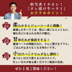 【訳あり】 牛ハラミ 肉 牛肉 牛 味付け 600g 300g×2パック （ タレ漬け牛ハラミ 小分け牛ハラミ 味付き牛ハラミ 美味しい牛ハラミ 冷凍牛ハラミ）