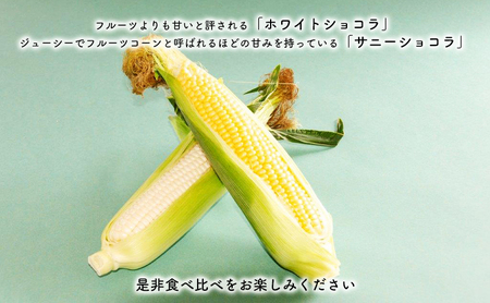 【2024年8月～発送】北海道 富良野市 とうもろこし 食べ比べ サニーショコラ 黄色 ＆ ホワイトショコラ 白色 L～2L サイズ 計5kg ふらの 野菜 トウモロコシ とうきび 数量限定 (フラノ