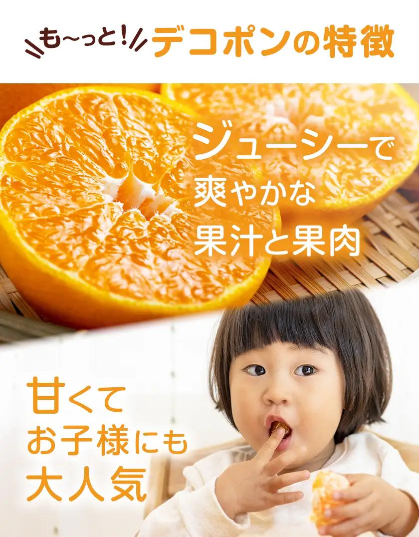 デコポン 3㎏ 日本フルーツ株式会社 デコポン