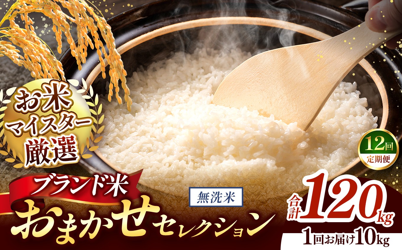 
                  【 令和7年産 】おまかせ セレクション 【定期便12回】熊本県産 無洗米  ＜ひのひかり / 森のくまさん / くまさんの輝き ＞ 10kg  | 単一銘柄 米 単一米 お米 こめ 小分け 人気 コメ お米 5kg 10kg 15kg 20kg 25kg 30kg 定期便 3回 6回 12回 ブランド米 菊池川流域 家庭用 送料無料 熊本 くまもと 熊本県 和水 和水町 人気 ごはん
                