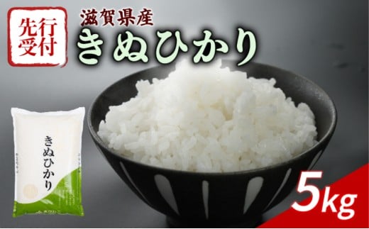 【令和7年産先行受付】 きぬひかり 5kg 令和7年産 新米 米 精米 こめ コメ お米 ご飯 米 キヌヒカリ 先行受付 5キロ 令和7年 滋賀 彦根