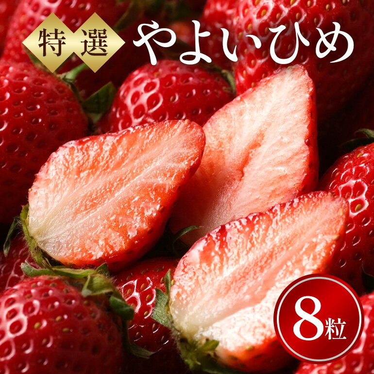 【ふるさと納税】特選8玉　やよいひめ いちご イチゴ フルーツ 果物 茨城県 石岡市 A32-016