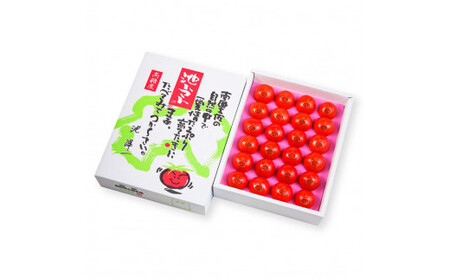 【先行予約】フルーツトマト特選ギフト約1kg ＜2027年1月?発送＞ /  特Aランク トマト フルーツトマト 池トマト 糖度10度以上 高糖度 高知県産 ギフト 箱入り 贈答用 贈り物 健康【池ト