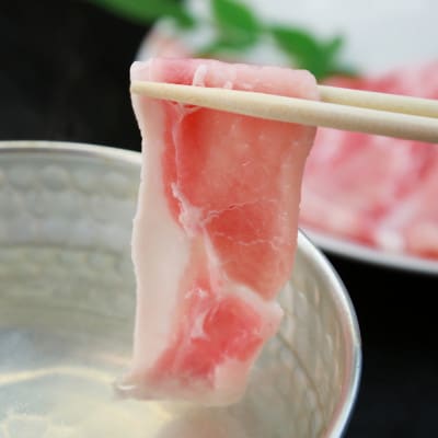 【熨斗付き】今帰仁アグーしゃぶしゃぶ2種食べ比べセット 500g(ももロース・バラ 各250g)【配送不可地域：離島】