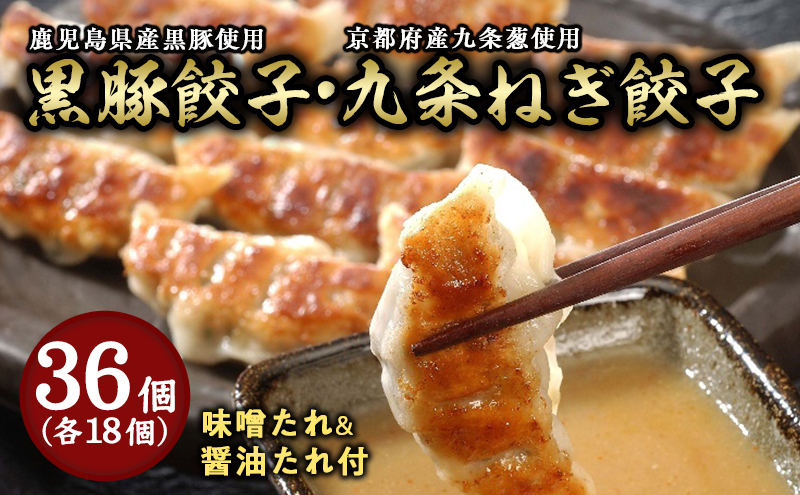 【兵庫県芦屋市】【ふるさと納税】黒豚餃子・九条ねぎ餃子 各1折セット【冷凍 ぎょうざ ギョ－ザ 中華 点心 惣菜 ギフト お中元 お歳暮】熨斗なし[037-a013_01]