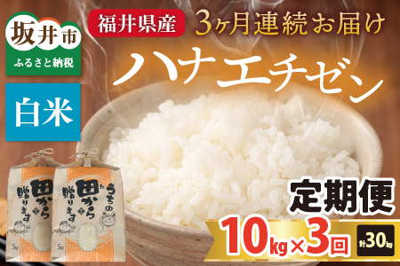 【先行予約】【令和8年産・新米】定期便 ≪3ヶ月連続お届け≫ ハナエチゼン10kg×3回 計30kg ～本原農園からまごころコメて～（白米）【2026年9月上旬以降順次発送予定】 [F-8911_01]