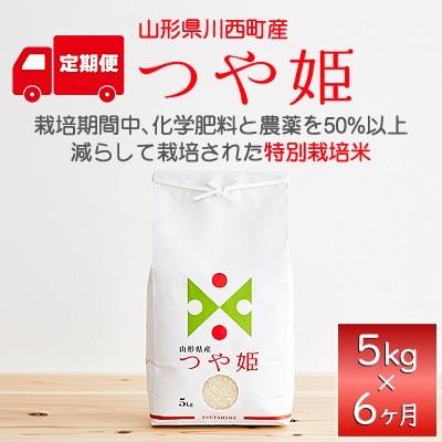 ふるさと納税 川西町 【毎月定期便】山形県産　つや姫　5kg全6回