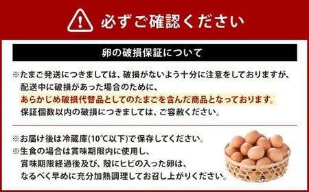 わけありたまご 康卵 180個 破損保証20個含む 赤 Mサイズ 卵 たまご 鶏卵 鶏 訳あり 国産 九州産 送料無料